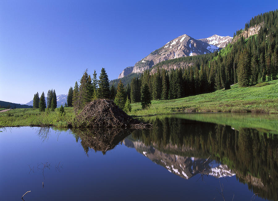 Gothic Mountain And Beaver Lodge Photograph by Tim Fitzharris