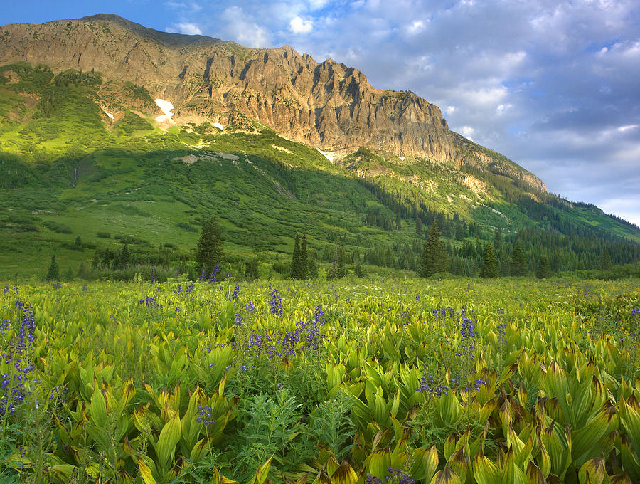 Gothic Mountain Overlooking Meadow Photograph by Tim Fitzharris