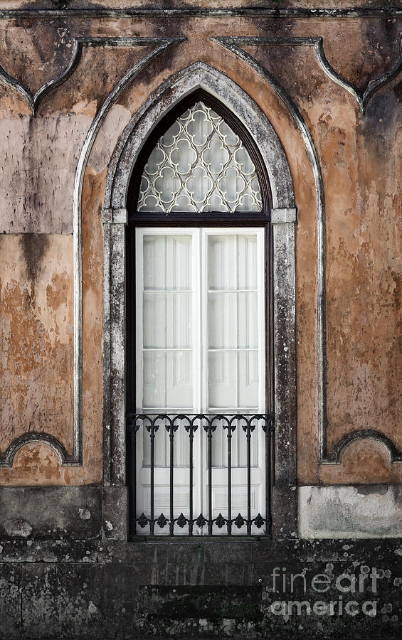 Gothic Window Photograph by Carlos Caetano