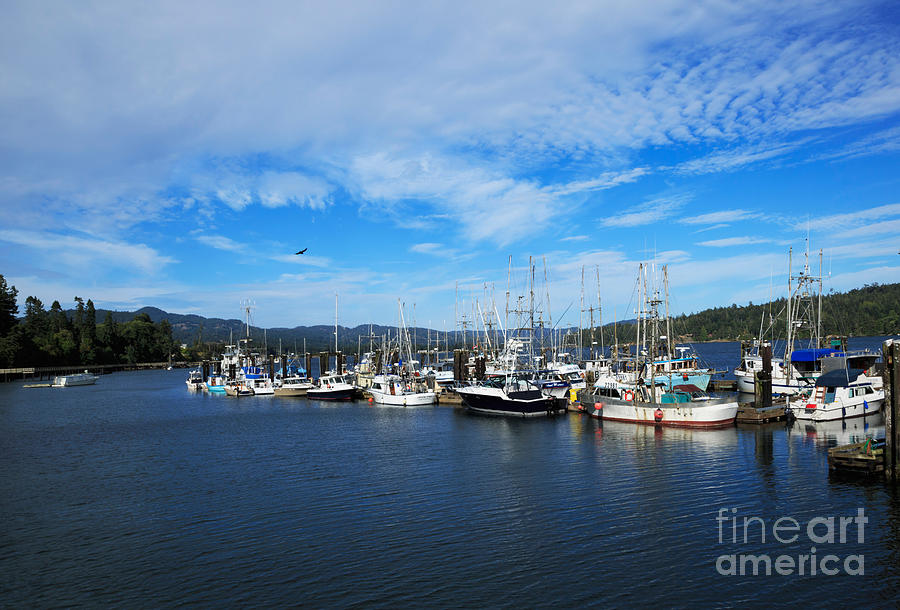 Boat Photograph - Government Wharf in Sooke Harbour by Louise Heusinkveld