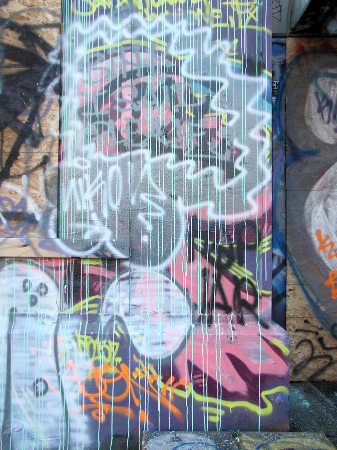 Graffiti - Tubs V Photograph by Kathleen Grace