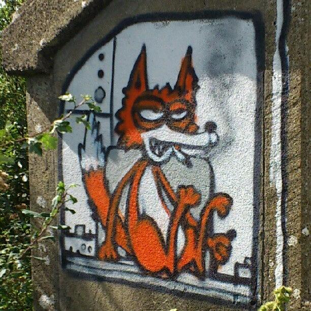 Fox Photograph - #graffiti #graffitiofinstagram by Robin Beer