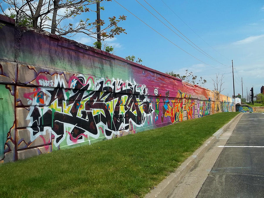 Landscape Photograph - Graffiti Lane by Anne Cameron Cutri
