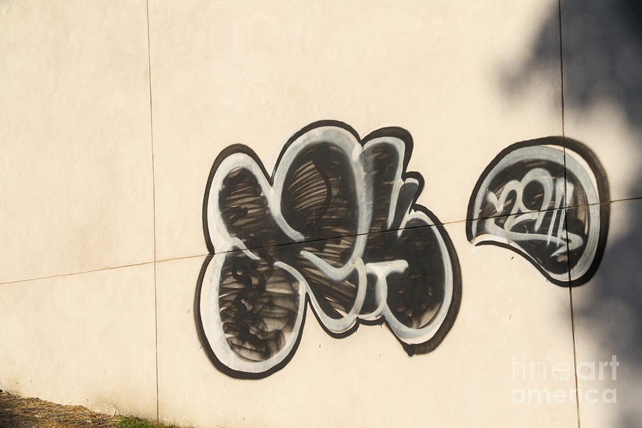 Graffiti Photograph by Photo Researchers, Inc.