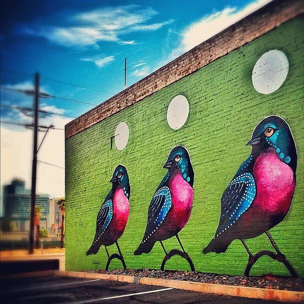Phoenix Photograph - #graffiti #streetart ##phxstreetart by CactusPete AZ