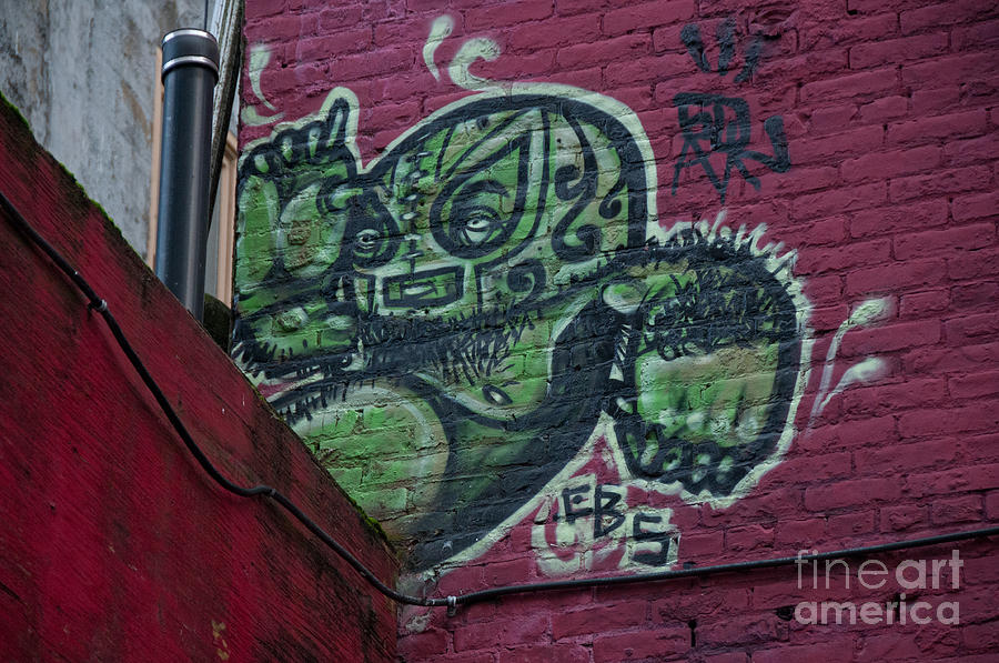 Graffiti Wall Digital Art by Carol Ailles