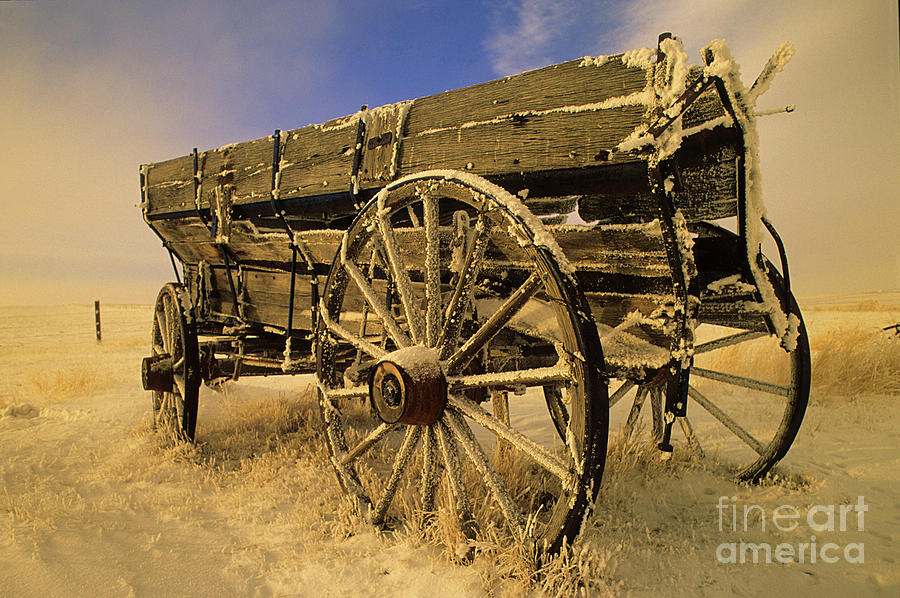 Grain Wagon Photograph by Bob Christopher