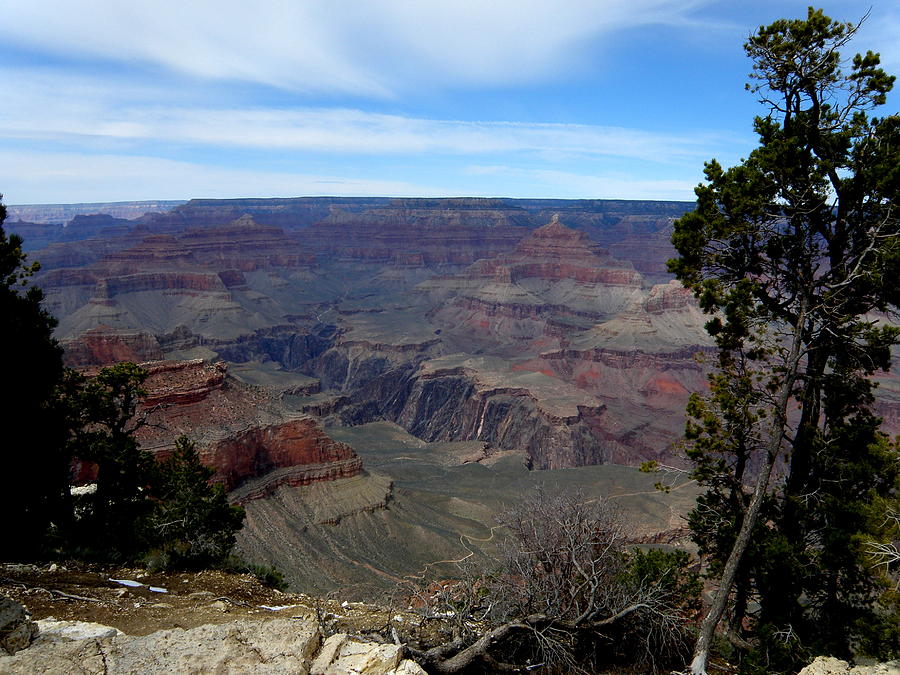 Grand Canyon 1 Photograph by Tatyana Searcy