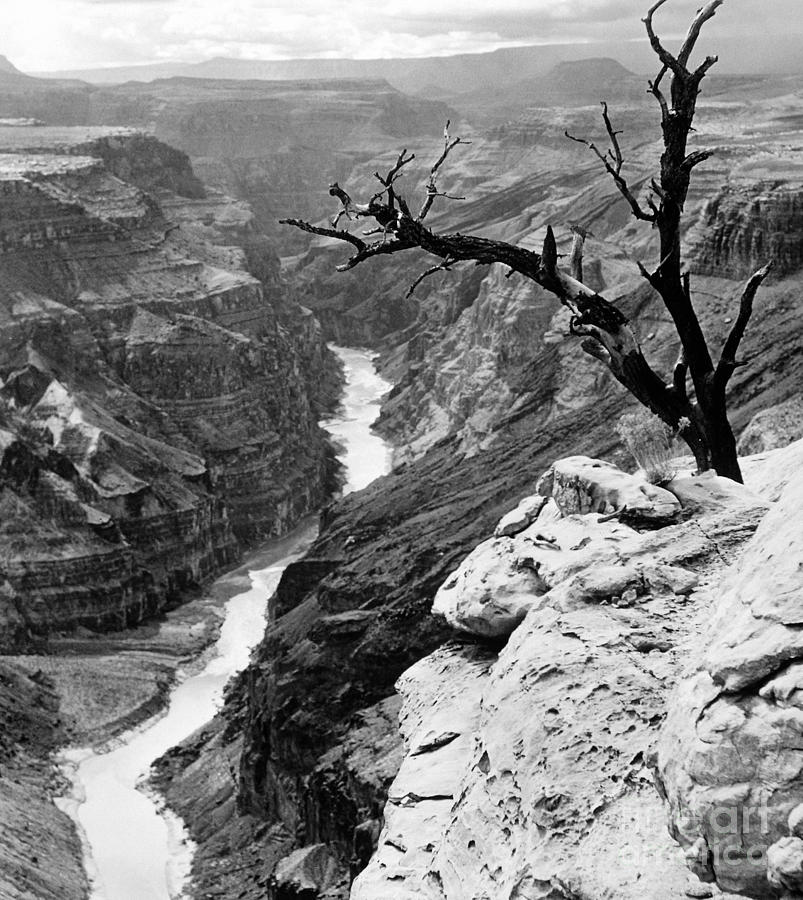 Grand Canyon, 1958 Photograph by Granger