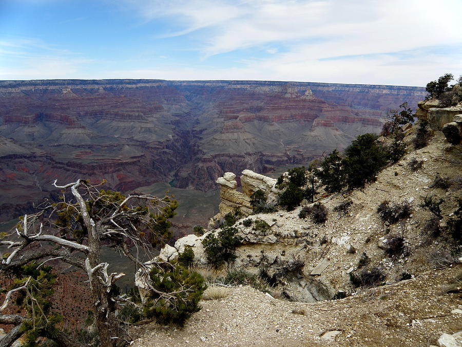 Nature Photograph - Grand Canyon 2 by Tatyana Searcy