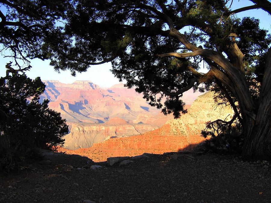 Grand Canyon 21 Photograph by Will Borden