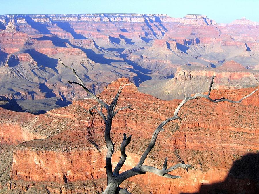 Grand Canyon 25 Photograph by Will Borden