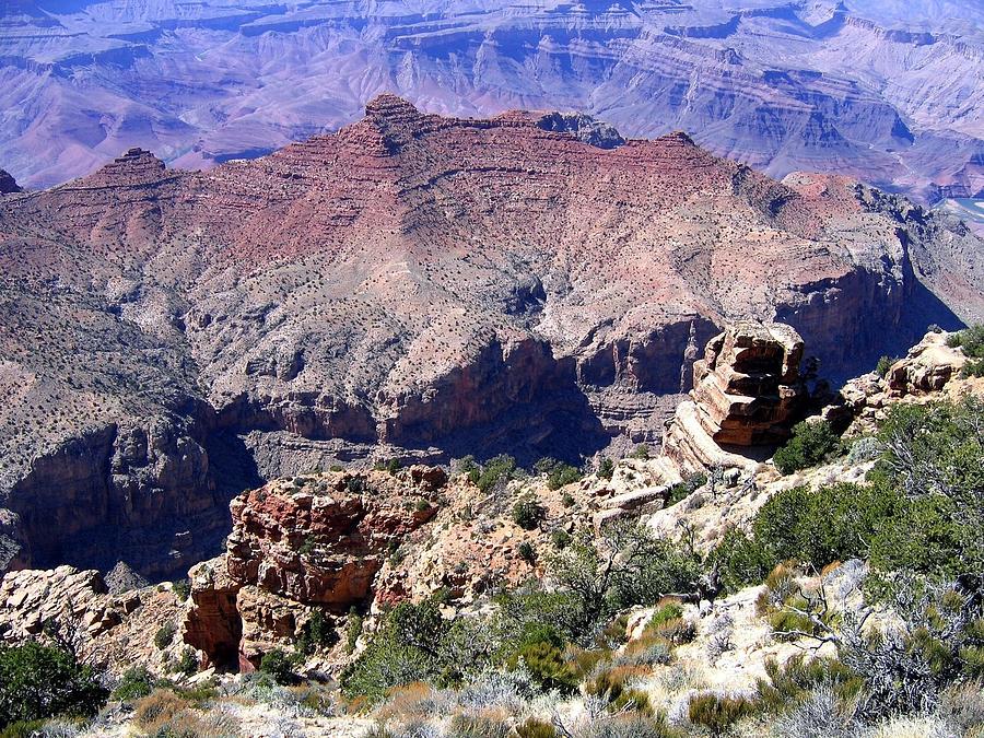 Grand Canyon 29 Photograph by Will Borden