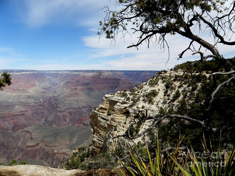 Grand Canyon 3 Photograph by Tatyana Searcy