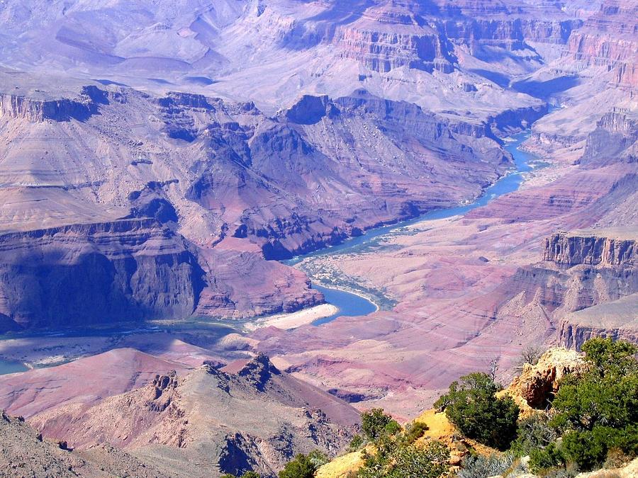 Grand Canyon 31 Photograph by Will Borden