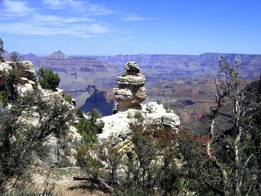 Grand Canyon 33 Photograph by Will Borden