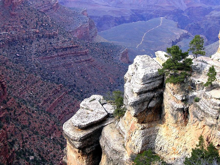 Grand Canyon 39 Photograph by Will Borden