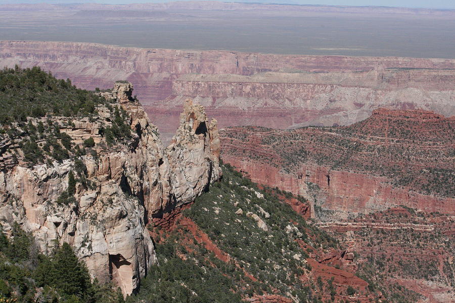 Grand Canyon 4 Photograph by Grant Washburn