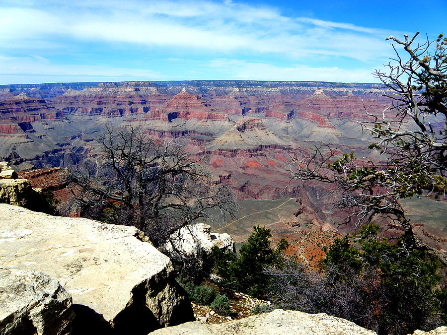 Grand Canyon 4 Photograph by Tatyana Searcy