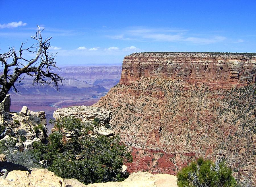 Grand Canyon 42 Photograph by Will Borden