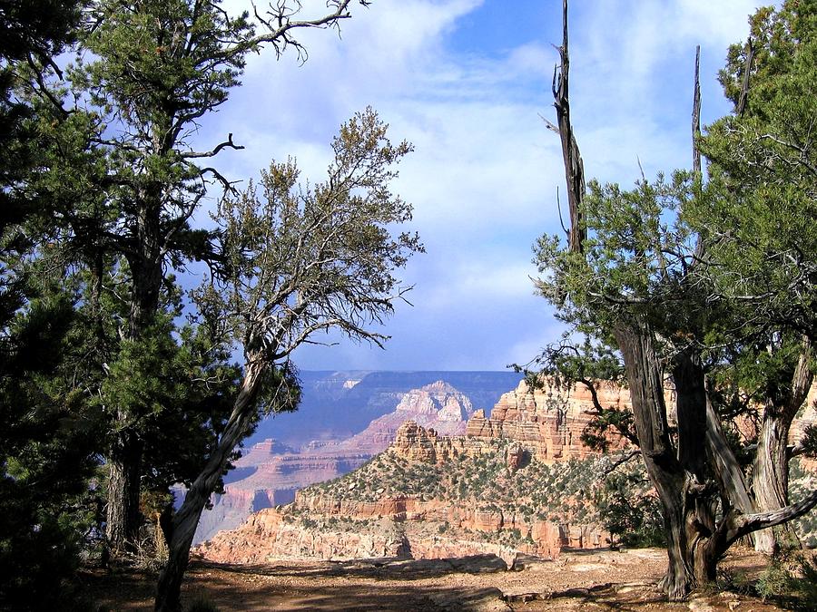 Grand Canyon 46 Photograph by Will Borden