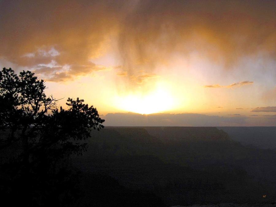 Grand Canyon 48 Photograph by Will Borden
