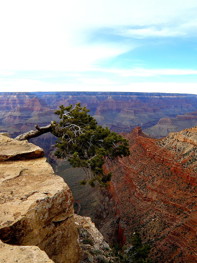 Grand Canyon 5 Photograph by Tatyana Searcy