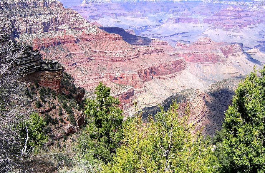 Grand Canyon 52 Photograph by Will Borden