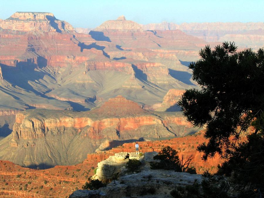 Grand Canyon 53 Photograph by Will Borden