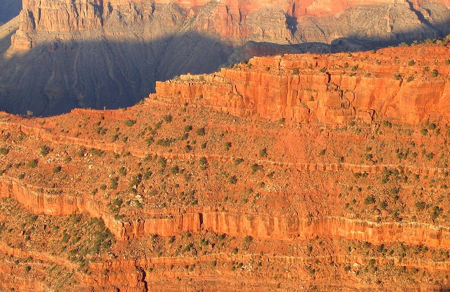 Grand Canyon 54 Photograph by Will Borden