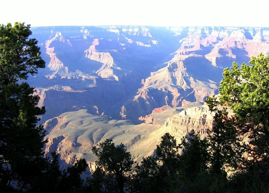 Grand Canyon 56 Photograph by Will Borden