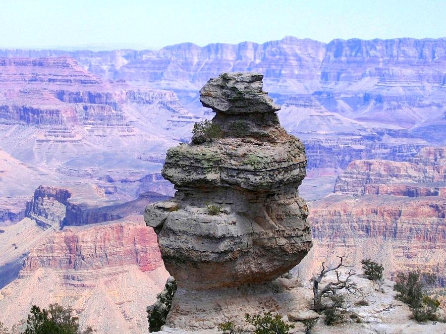 Grand Canyon 58 Photograph by Will Borden