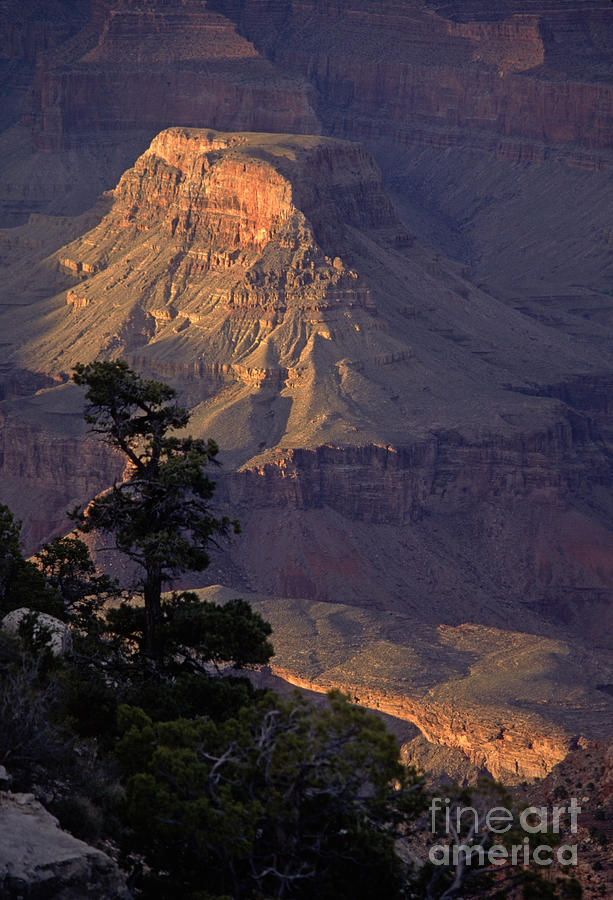 Grand-canyon-6-19 Photograph by Craig Lovell