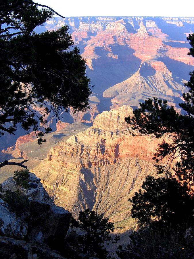 Grand Canyon 60 Photograph by Will Borden