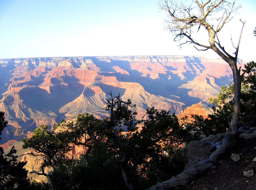 Grand Canyon 61 Photograph by Will Borden