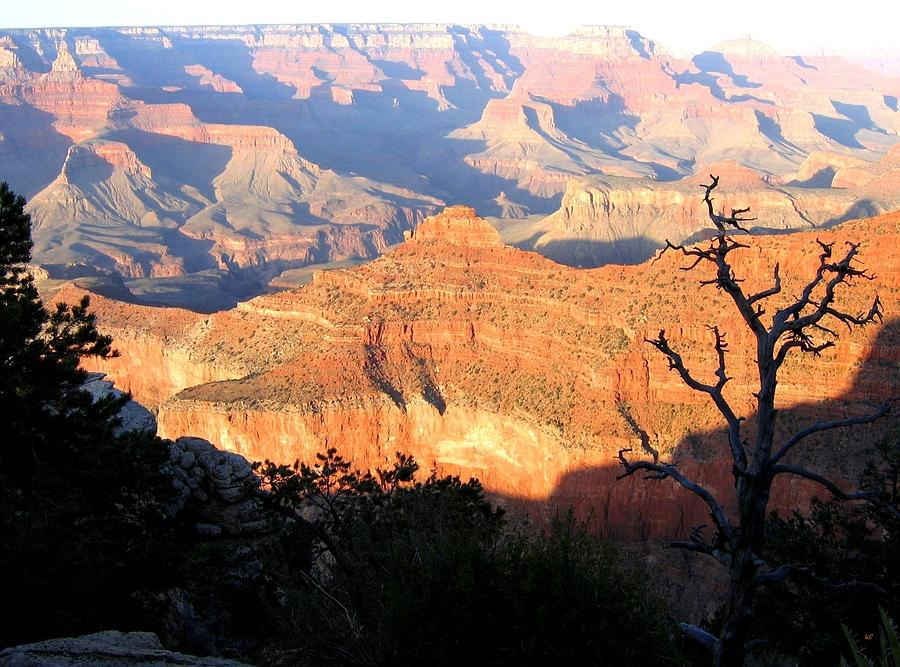 Grand Canyon 62 Photograph by Will Borden