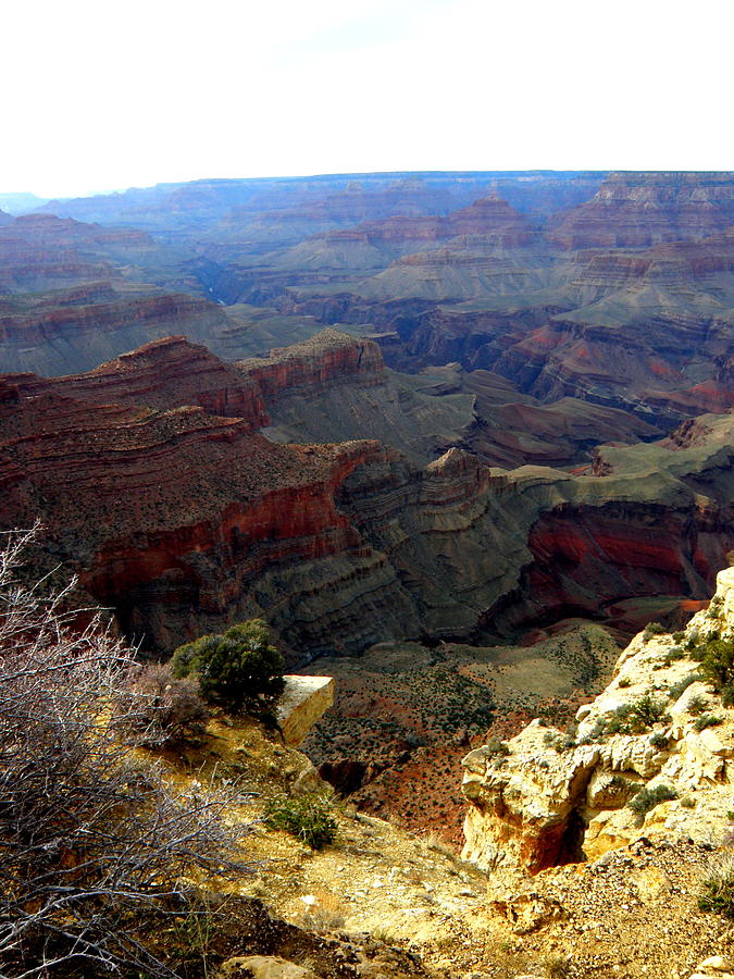Grand Canyon 7 Photograph by Tatyana Searcy