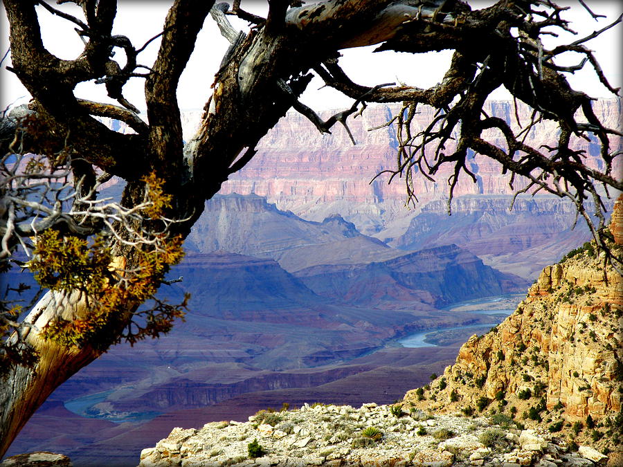 Grand Canyon 8 Photograph by Tatyana Searcy