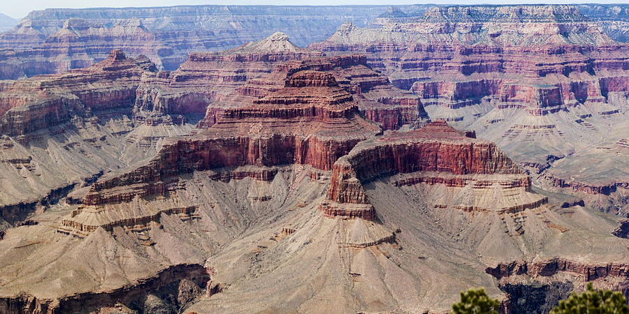 Grand Canyon and Colorado River 4 of 5 Photograph by Gregory Scott