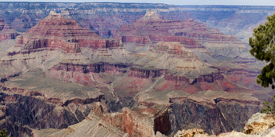 Grand Canyon and Colorado River 5 of 5 Photograph by Gregory Scott
