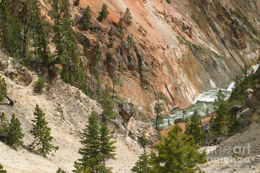 Grand Canyon and Yellowstone River Photograph by Living Color Photography Lorraine Lynch