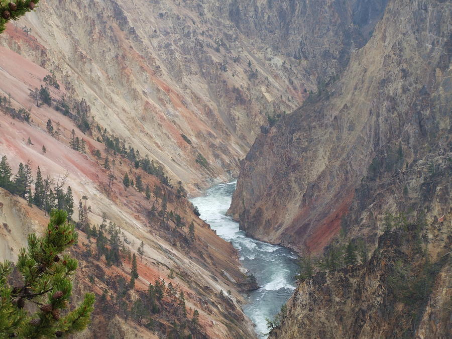 Grand canyon at Yellowstone Photograph by Wendy Hope - Pixels