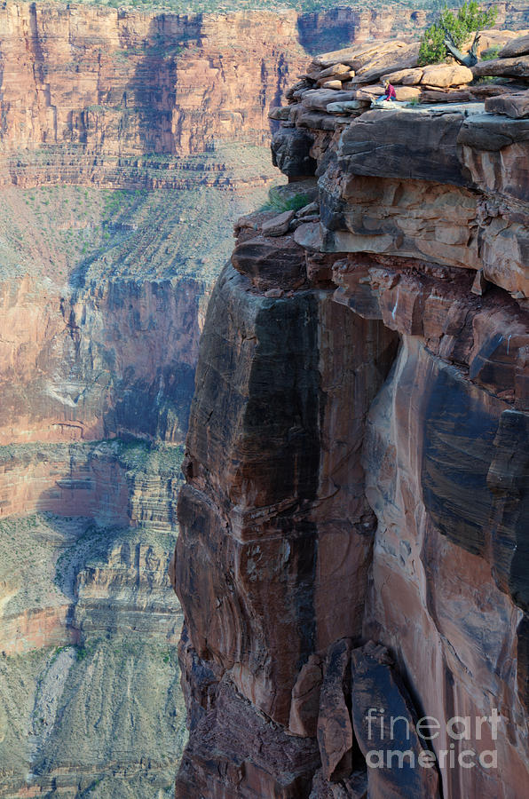 Grand Canyon Close Enough Photograph by Bob Christopher