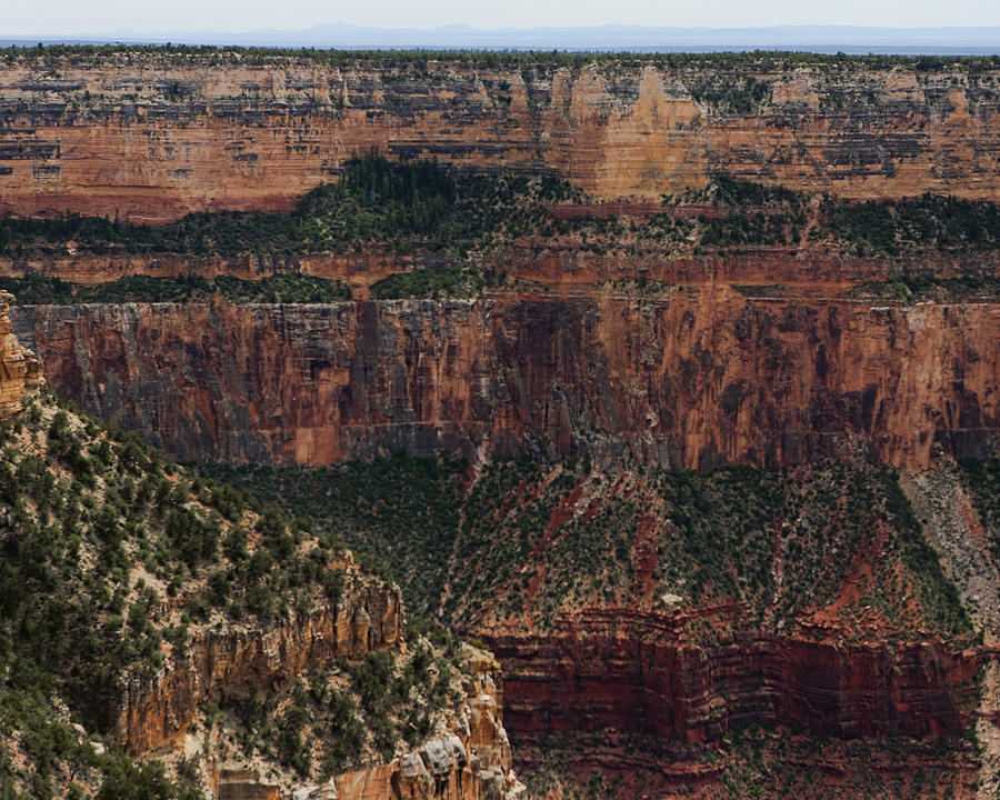 Grand Canyon Colorado River Page 1 of 8 Photograph by Gregory Scott