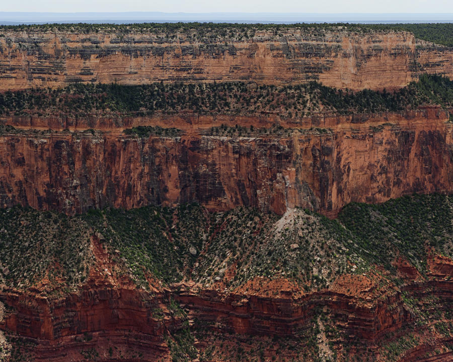 Grand Canyon Colorado River Page 2 of 8 Photograph by Gregory Scott