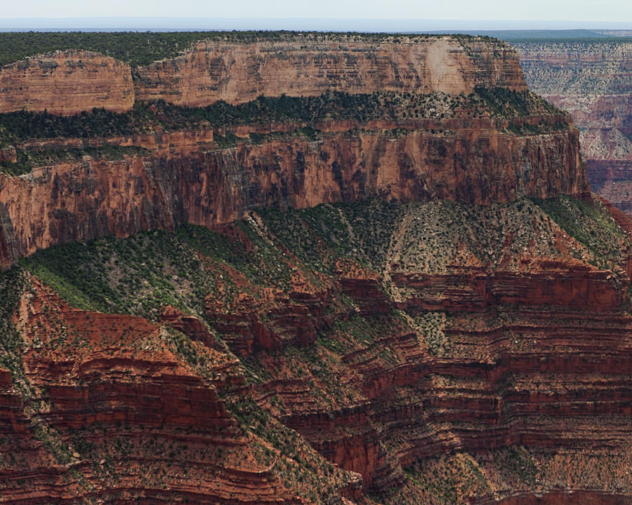 Grand Canyon Colorado River Page 3 of 8 Photograph by Gregory Scott