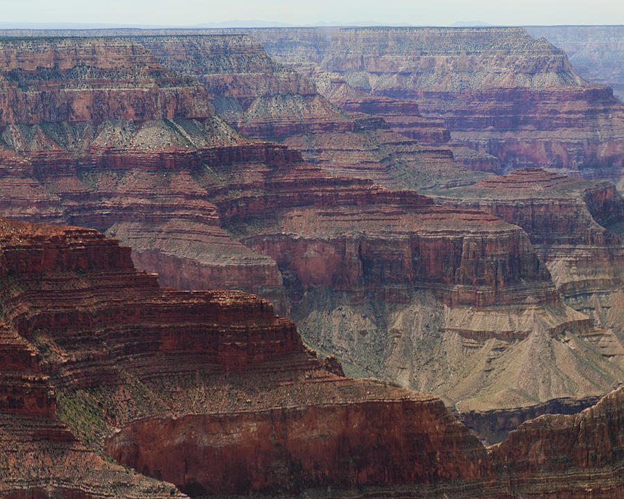 Grand Canyon Colorado River Page 4 of 8 Photograph by Gregory Scott