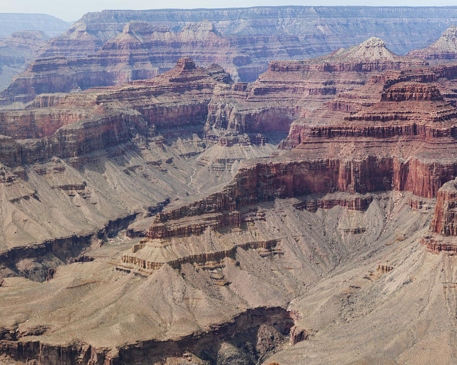 Grand Canyon Colorado River Page 6 of 8 Photograph by Gregory Scott
