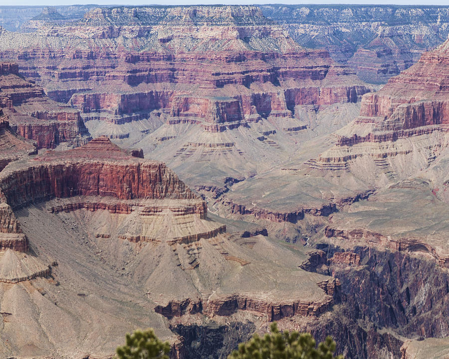 Grand Canyon Colorado River Page 7 of 8 Photograph by Gregory Scott