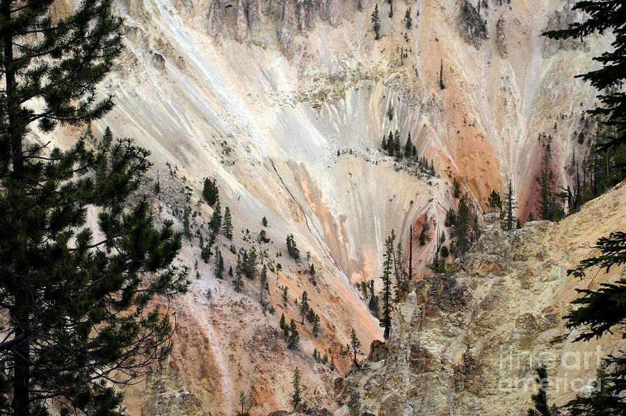Grand Canyon Colors Of Yellowstone Photograph by Living Color Photography Lorraine Lynch